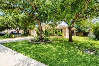 981 Goldenrod St — photo 4