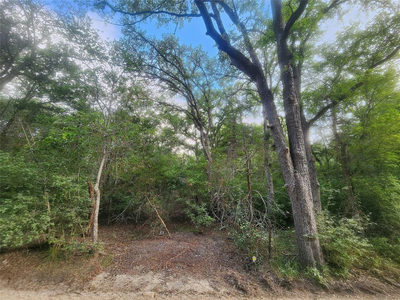 TBD Post Oak Rim Dr — photo 3
