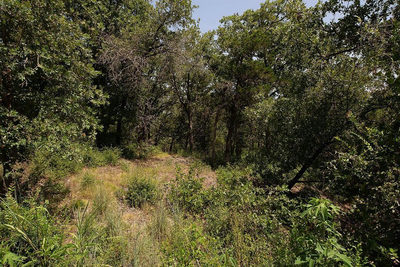 TBD Post Oak Rim Dr — photo 5