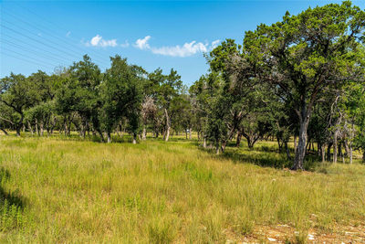 0001 Lakehurst Rd — photo 4