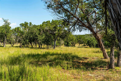 0001 Lakehurst Rd — photo 5