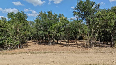 TBD CR 418A (Wahle Road) — photo 2