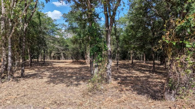 TBD CR 418A (Wahle Road) — photo 5