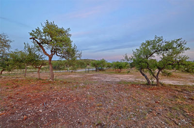 8019 Mount Sharp Rd — photo 4