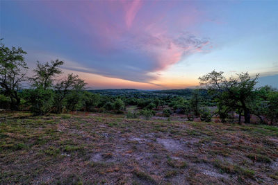 8019 Mount Sharp Rd — photo 2