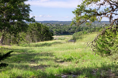 4 Shilo Cv — photo 4