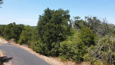 20900 Trappers Trl — photo 2