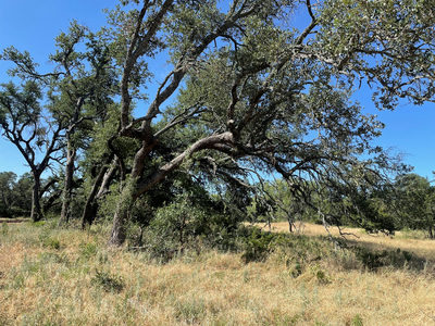 Lot 200 Swamp Creek Cove — photo 3