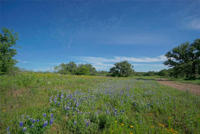 Lot 200 Swamp Creek Cove — photo 4