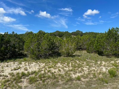 Lot 652 Wagon Wheel Trl — photo 5