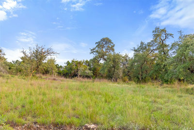 000 Mirela Ann Rd — photo 4