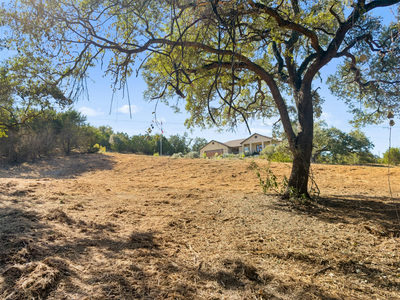817 Rutherford — photo 5