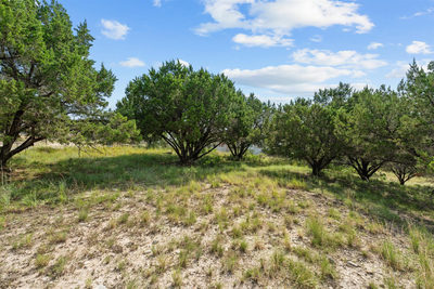 20635 Highland Lake Dr — photo 4