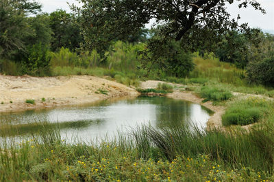 Lot 11 Ridgeway Trl — photo 2