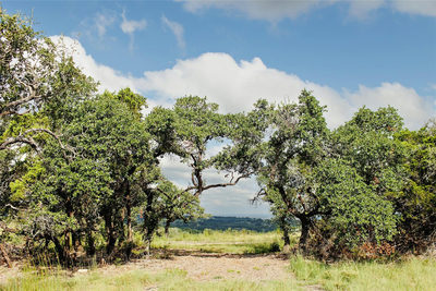Lot 11 Ridgeway Trl — photo 3