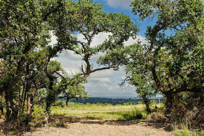 Lot 11 Ridgeway Trl — photo 4