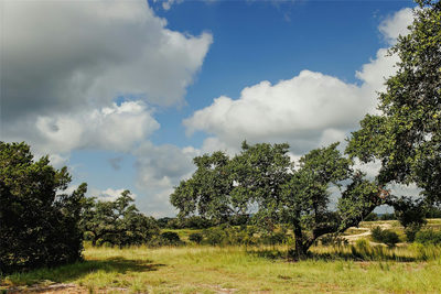 Lot 11 Ridgeway Trl — photo 5