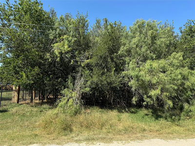 000 W Pauwela Ln — photo 4