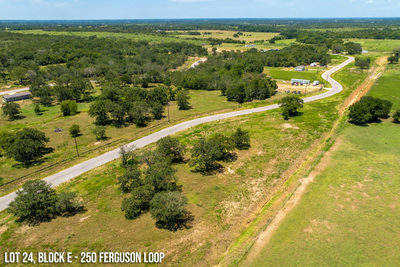 250 Ferguson Loop — photo 3