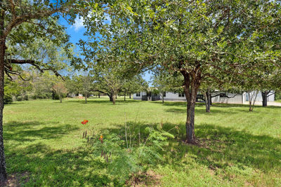 255 Rosanky Cattle Co Rd — photo 2