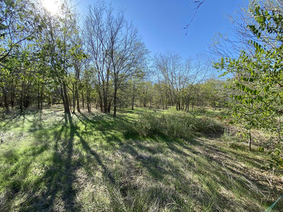 7603 Timber Hills Dr — photo 4