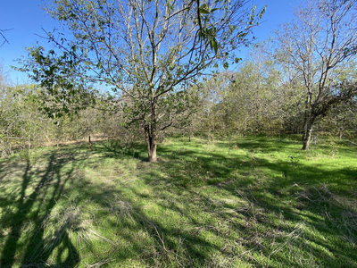 7603 Timber Hills Dr — photo 2