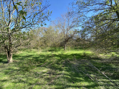 7603 Timber Hills Dr — photo 3
