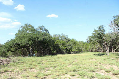 Lots 56-57 Travis Oaks Dr — photo 3