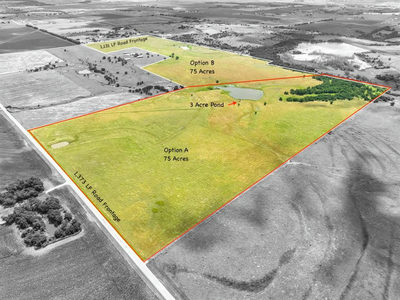 Tract 1 - 75 Acres County Road 419 — photo 2