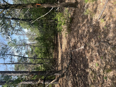 Lot 1252 TBA Hanauma Dr — photo 3