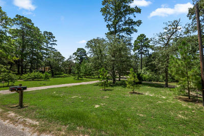 217 Pine Hill Loop — photo 3