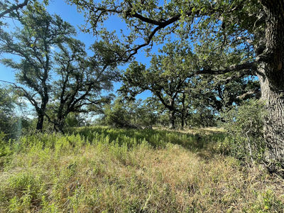 Lot 22 Legacy Ridge — photo 5