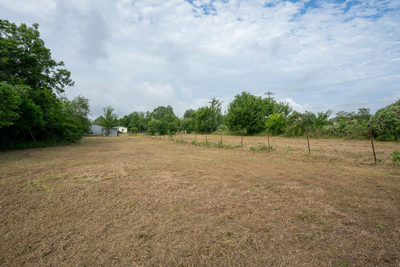 2774 Citation Dr — photo 5