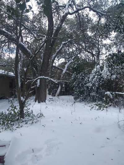 8002 Persimmon Trl — photo 3