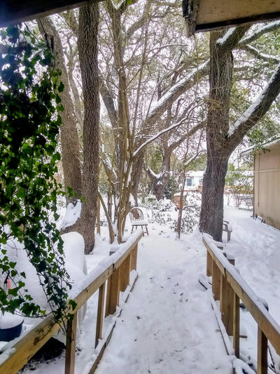 8002 Persimmon Trl — photo 5
