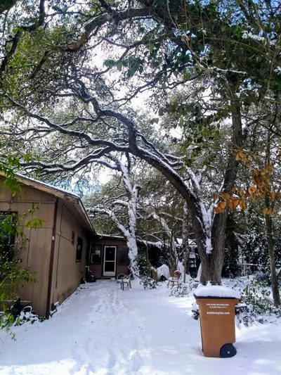 8002 Persimmon Trl — photo 4