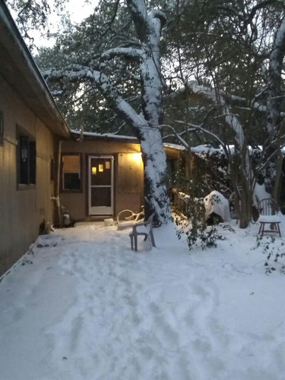 8002 Persimmon Trl — photo 2