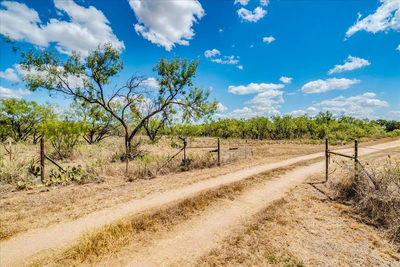 ABS A0883 JOHN TRENT, TRA Crider road — photo 3