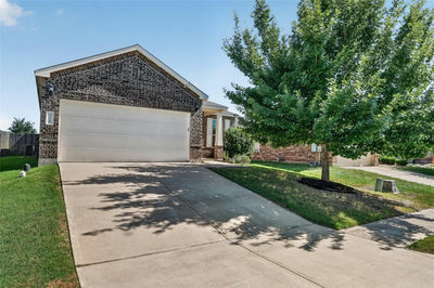 338 Pine Arbol — photo 2