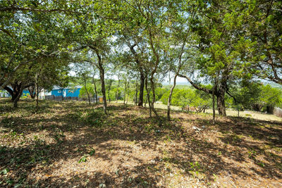 912 Daviot Dr — photo 2
