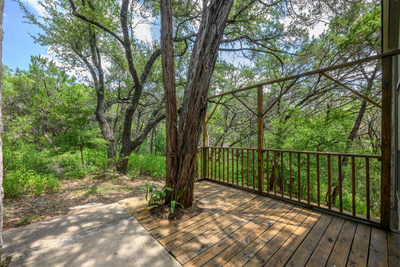 6702 Cat Creek Trl — photo 5