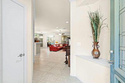 115 Ruellia Dr — photo 5