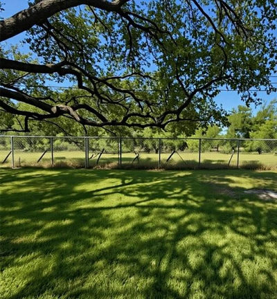 2804 Live Oak St — photo 4