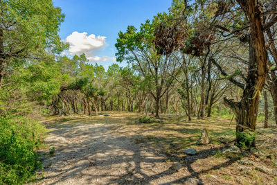 960 Roadrunner Rd — photo 4