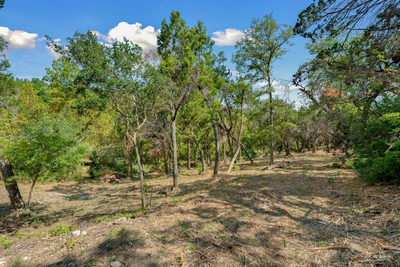 960 Roadrunner Rd — photo 5