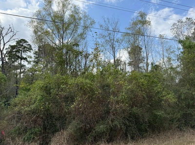 Lot 233 MAKAHA Dr — photo 3