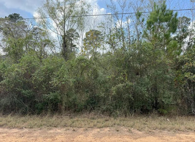Lot 233 MAKAHA Dr — photo 2