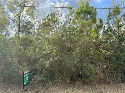 Lot 233 MAKAHA Dr — photo 4
