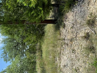 25402 Fawn Dr — photo 4