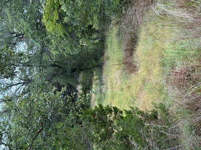 25402 Fawn Dr — photo 3
